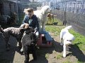 afb_20160501 (1)